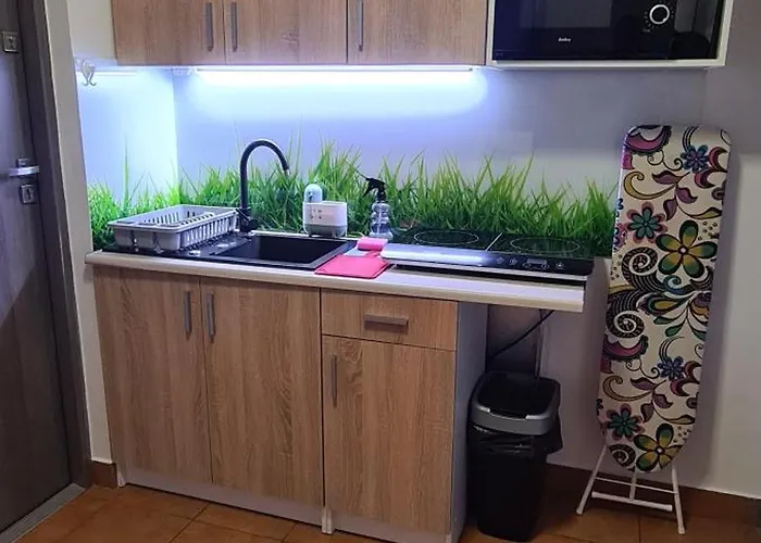 Moris Goscinne Rum i privatbostad *