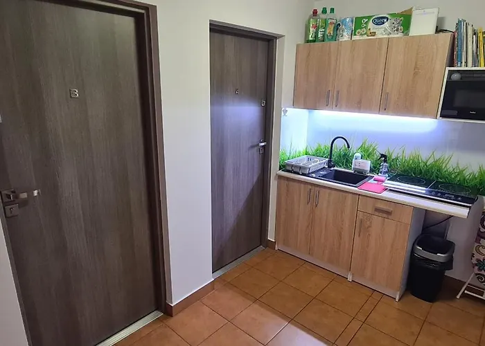 Privat bolig Moris Goscinne