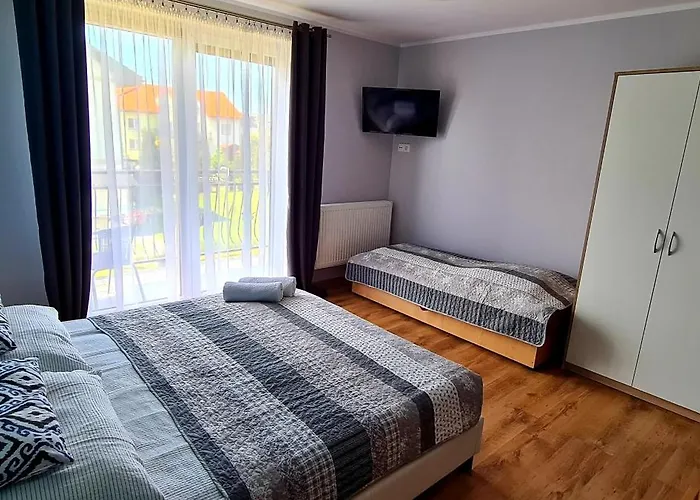 Moris Goscinne 莱鲍